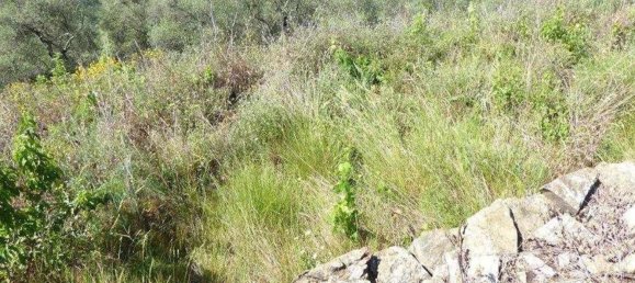 518m² Land in Badalucco, Italy No. 90382 35