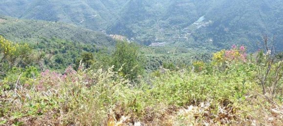 518m² Land in Badalucco, Italy No. 90382 22