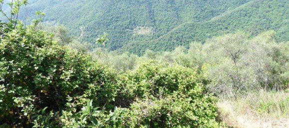 518m² Land in Badalucco, Italy No. 90382 39