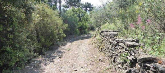 518m² Land in Badalucco, Italy No. 90382 9