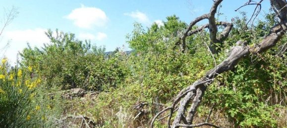 518m² Land in Badalucco, Italy No. 90382 23