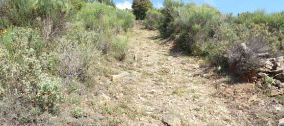 518m² Land in Badalucco, Italy No. 90382 32