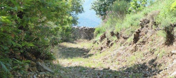 518m² Land in Badalucco, Italy No. 90382 4