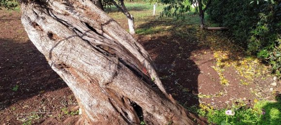 Villa T2 em San Vito dei Normanni, Italy N.º 164743 26