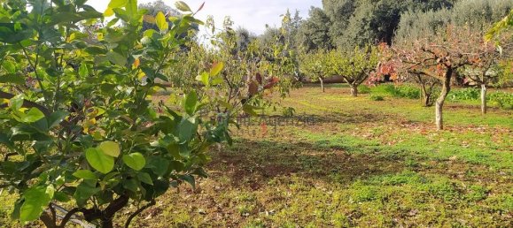 Villa T2 em San Vito dei Normanni, Italy N.º 164743 25