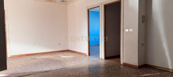 Коммерческая недвижимость с 3 спальнями в Эль Пальмар, Испания № 69805 9