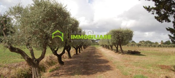 69000m² Land in Cisterna di Latina, Italy No. 206237 8