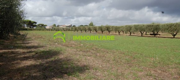 69000m² Land in Cisterna di Latina, Italy No. 206237 27