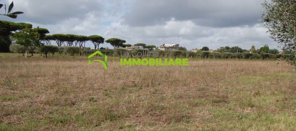 69000m² Land in Cisterna di Latina, Italy No. 206237 21