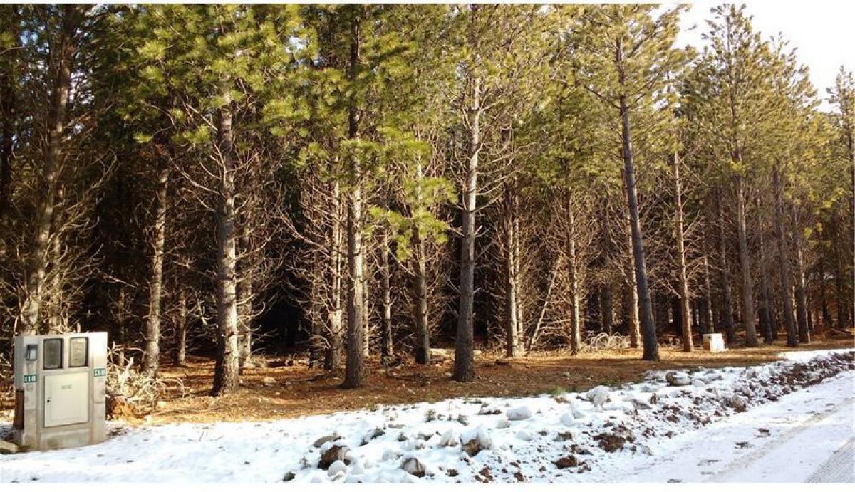  Land in San Carlos de Bariloche, Argentina No. 47805