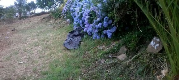 Grundstück in Gandra, Portugal, Nr. 279033 5