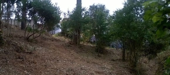 Grundstück in Gandra, Portugal, Nr. 279033 3