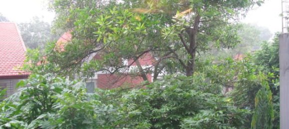 1 Schlafzimmer Wohnung in Tay Ho, Vietnam, Nr. 6461 10