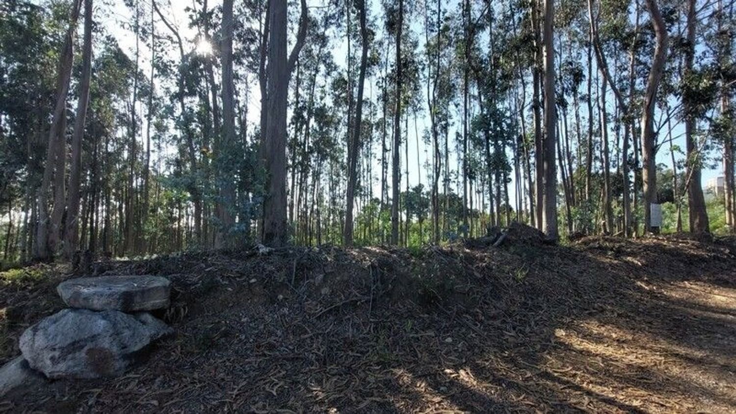 Grundstück in Santa Maria da Feira, Portugal 5594m², Nr. 261345