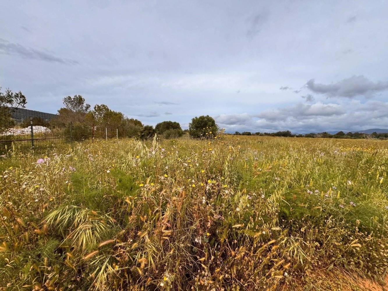 2116m² Land in Santa Maria Del Cami, Spain No. 227512