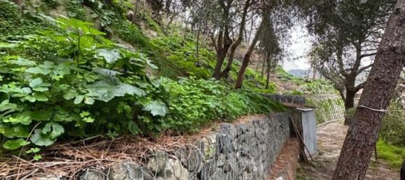 Villa de 15 habitaciónes en Villafranca Tirrena, Italy No. 137577 5