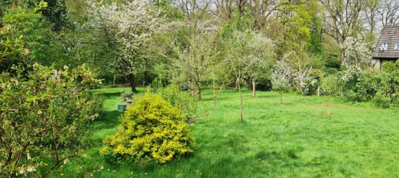  Land in Harburg, Germany No. 21687 4