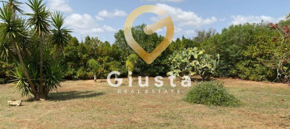 5 bedrooms Villa in Mesagne, Italy No. 327718 8