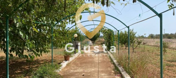 5 bedrooms Villa in Mesagne, Italy No. 327718 30