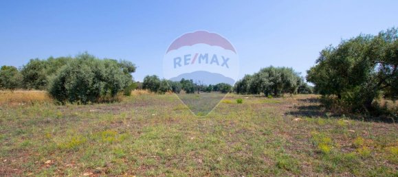 Terrain à Syracuse, Italy No. 333874 21