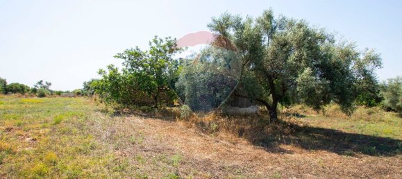 Terrain à Syracuse, Italy No. 333874 18