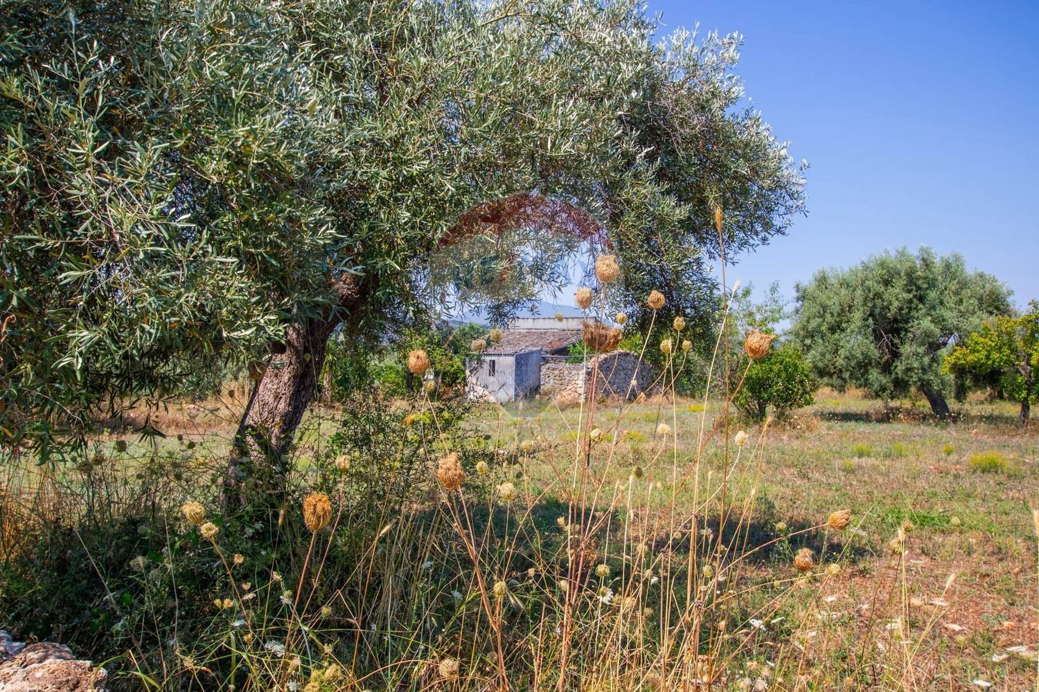 Terrain à Syracuse, Italy No. 333874