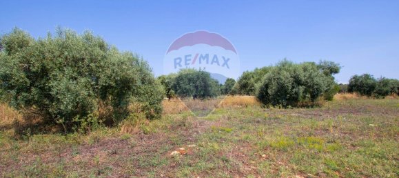 Terrain à Syracuse, Italy No. 333874 22