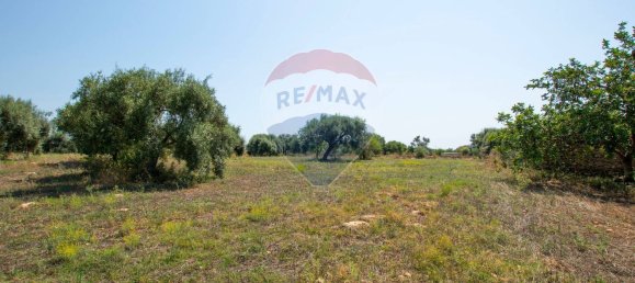 Terrain à Syracuse, Italy No. 333874 20