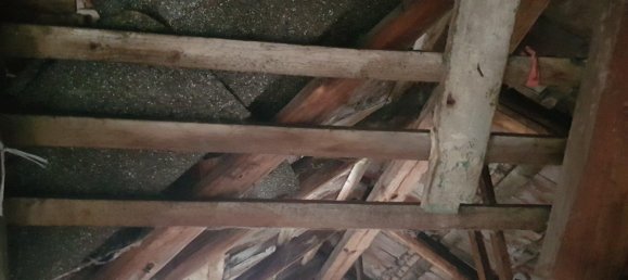 3 bedrooms House in Bautzen, Germany No. 328791 15