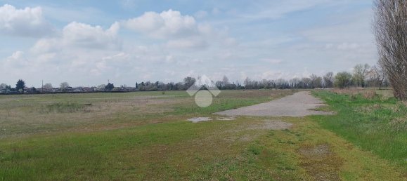 50681m² Land in Dello, Italy No. 20892 6