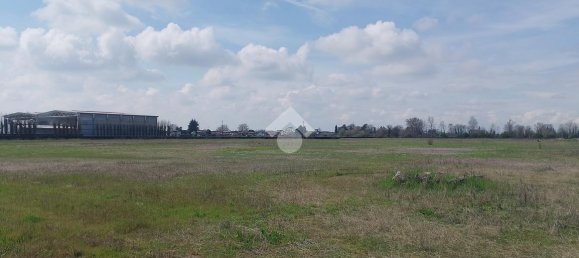 50681m² Land in Dello, Italy No. 20892 5