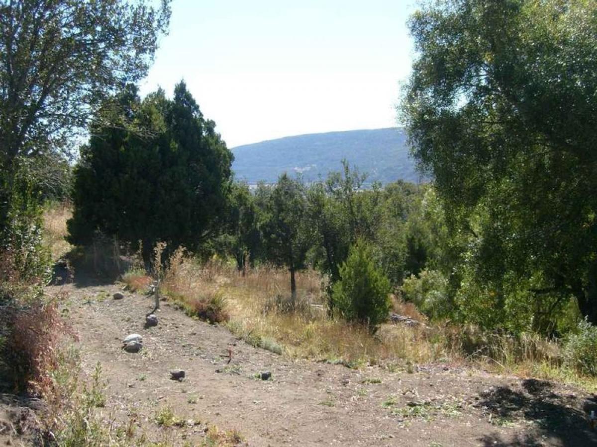 Grundstück in Neuquen, Argentina, Nr. 34621