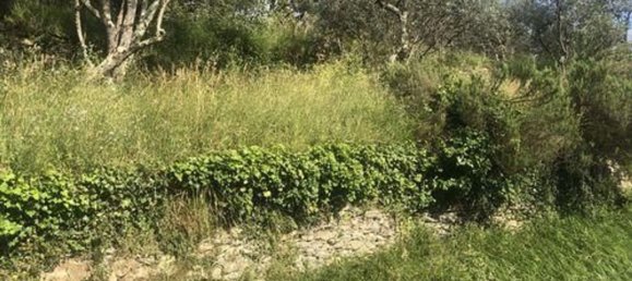 Дом с 3 комнатами в Авеньо, Италия № 172866 3