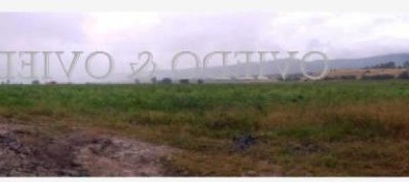 Studio in San Juan del Rio, Mexico, Nr. 151745 2