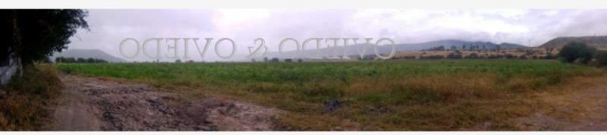 Studio in San Juan del Rio, Mexico, Nr. 151745