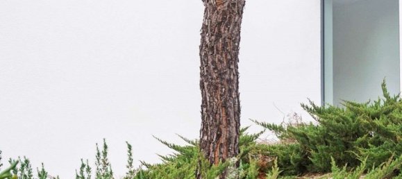 5 bedrooms House in Grandola, Portugal No. 121064 12