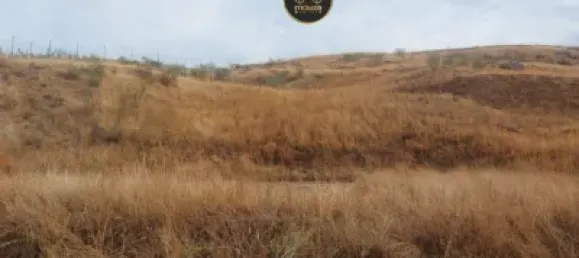  Land in Jaen, Spain No. 141014 3