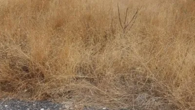  Land in Jaen, Spain No. 141014