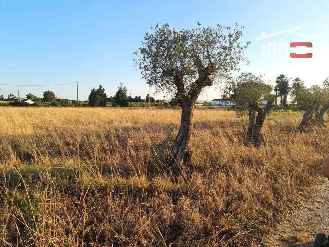  Land in Pinhal Novo, Portugal No. 249769