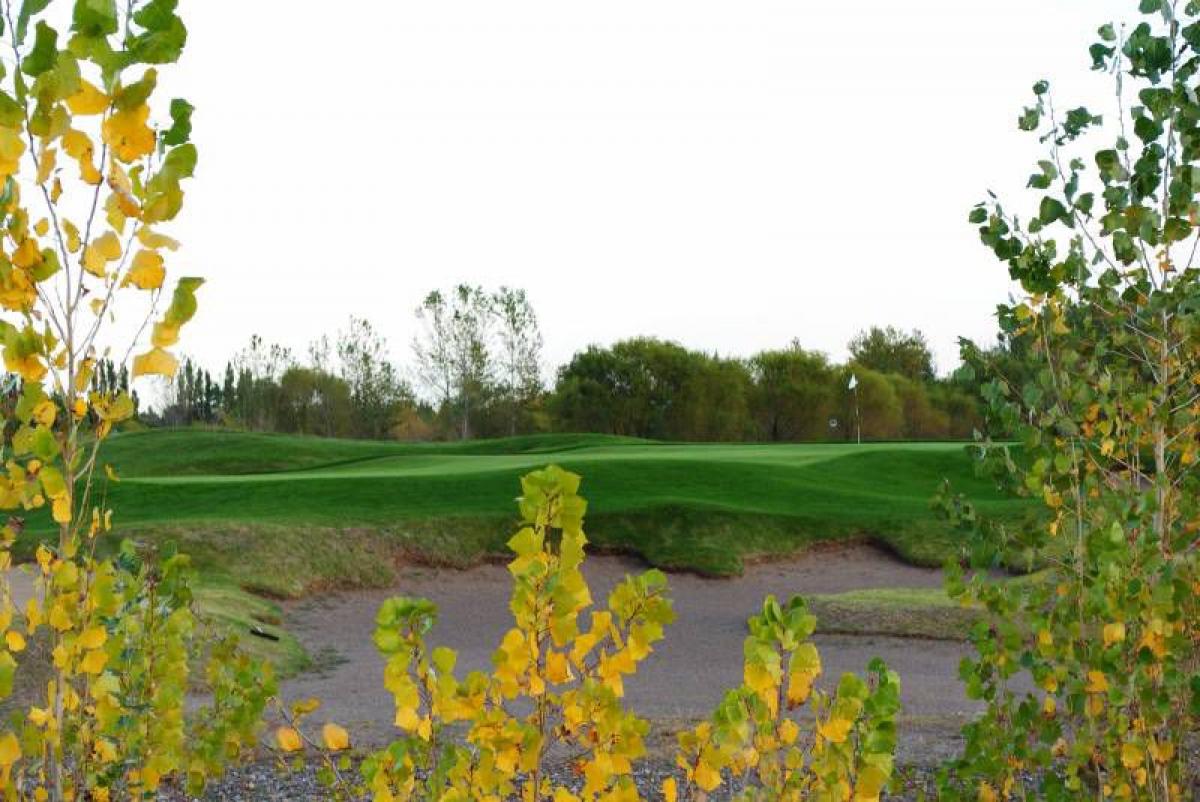 Grundstück in Neuquen, Argentina, Nr. 43271