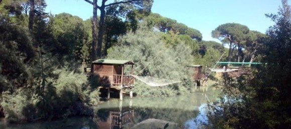 1 bedroom Apartment in Cervia, Italy No. 333597 18