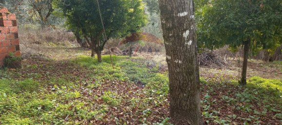 5 bedrooms House in Cumeeira, Portugal No. 154112 9