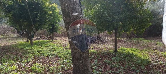 5 bedrooms House in Cumeeira, Portugal No. 154112 10