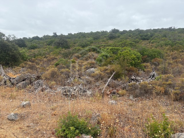  Land in Salir, Portugal No. 308436