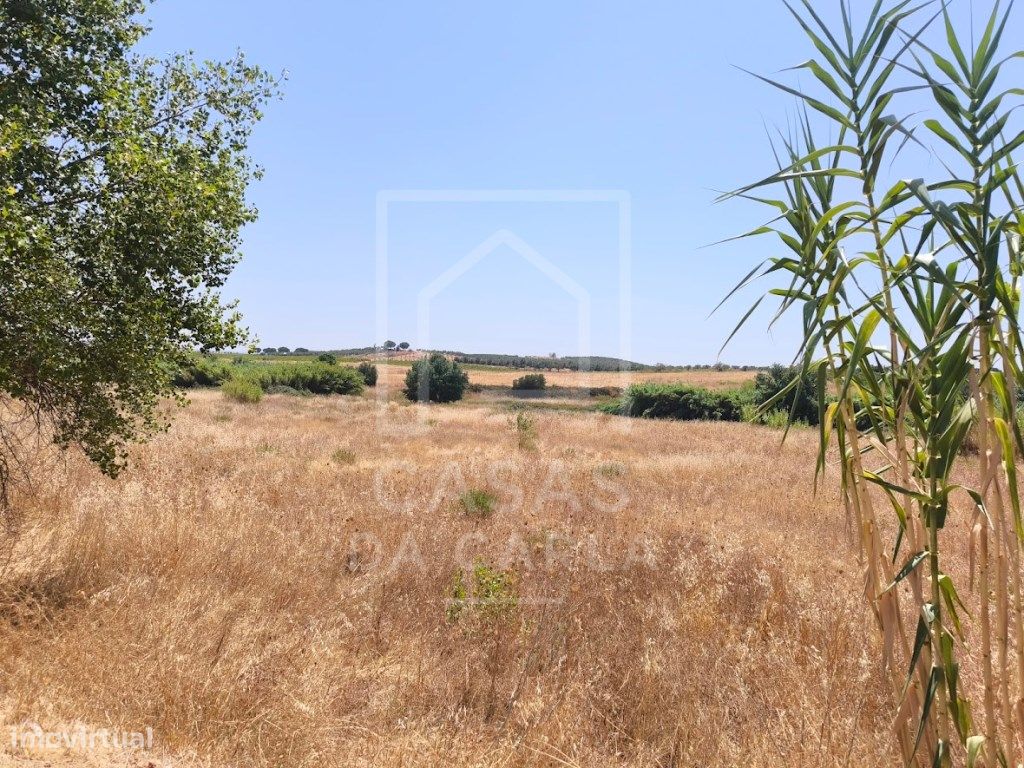  قطعة أرض في Vila de Frades, Portugal 16000متر مربع رقم 277999
