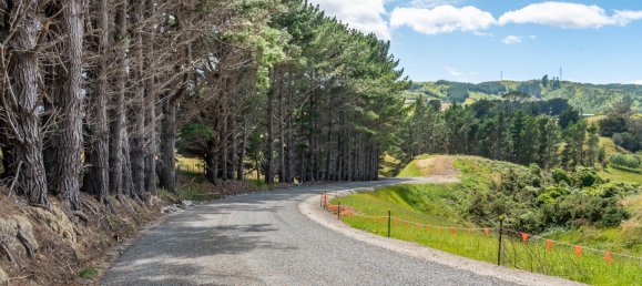 Terrain à Pauatahanui, New Zealand 18800m² No. 80 6
