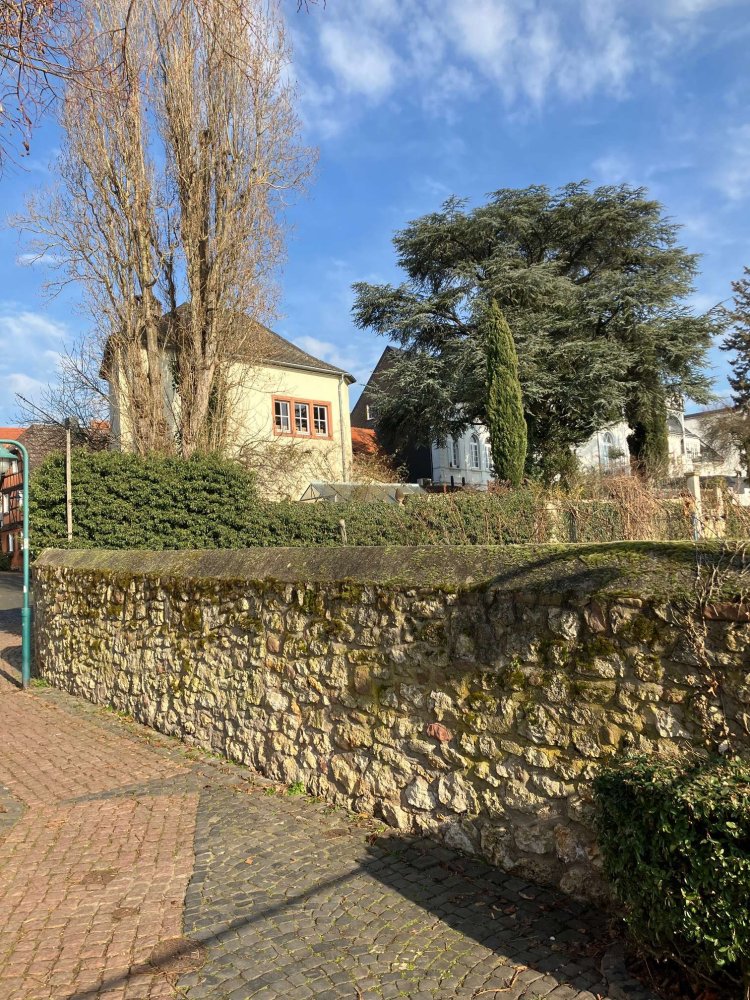 8-salle Châteaux à Main-Taunus, Germany No. 159769