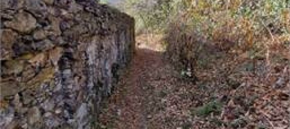 Casa T1 em Nonio, Italy N.º 120388 31