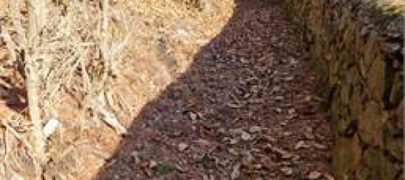 Casa T1 em Nonio, Italy N.º 120388 33