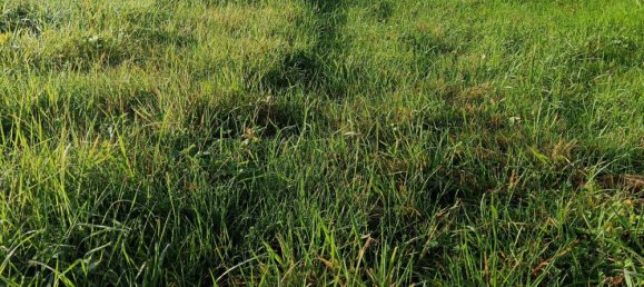  Land in Authon, France No. 226002 5